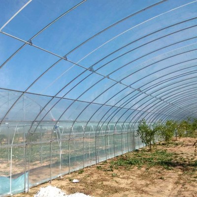 【安陽(yáng)圣鑫農(nóng)業(yè)】單棟育苗大棚林木種植單棟大棚圖片_高清圖_細(xì)節(jié)圖
