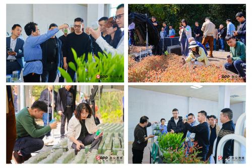 綠色旗艦 植 得期待 2024年opbu辦公用紙肇慶植樹(shù)活動(dòng)圓滿(mǎn)舉行