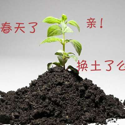 億潤(rùn)基質(zhì)營(yíng)養(yǎng)土 育苗花卉腐殖土泥炭土 多肉栽培專(zhuān)用草炭土