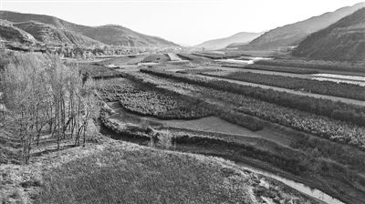 再造一個(gè)子午嶺 綠色帶來(lái)好 錢(qián) 景 慶陽(yáng)市苗木產(chǎn)業(yè)如何實(shí)現(xiàn)生態(tài)效益與經(jīng)濟(jì)效益雙贏(yíng)